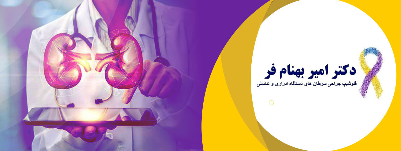 سرطان پروستات چیست؟ | درمان سرطان پروستات در اصفهان